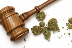 City Ban on Pot Gardens Upheld in Wash. State, Source: http://azcapitoltimes.com/news/2013/02/13/court-ruling-upholds-dui-test-for-marijuana/