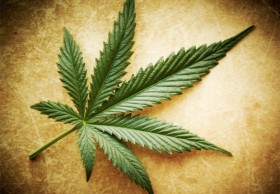 Maine House and Senate to Vote on Putting Marijuana Legalization Before State Voters, Source: http://blog.norml.org/2014/04/07/maine-house-and-senate-to-vote-on-putting-marijuana-legalization-before-state-voters/