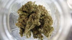 Medical Marijuana Entrepreneurs Decry Fees