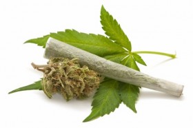 Medical Marijuana May Help Treat Symptoms of MS
