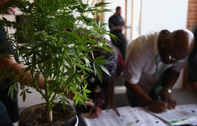 New Jersey Marijuana Prosecutors Reverse Course, Say It’s Time to Legalize