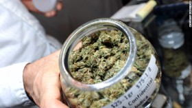 Rhode Island Report: Taxing Marijuana Could Generate Tens of Millions in Revenue