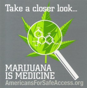 Update - Victory for Defendants in Two Medical Marijuana Cases - Americans for Safe Access, Source: http://www.jayselthofner.com/wordpress/2013/04/wisconsin-americans-for-safe-access-meet-again-may-11th-2013/