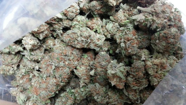 my favorite strains - black russian - marijuana - weedist, Source: Prospero Weedist
