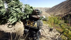 DEA Even More Reliant on Fear in the Age of Legalization
