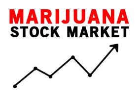 Marijuana Stocks Could Be Scams, Warns SEC Watchdogs