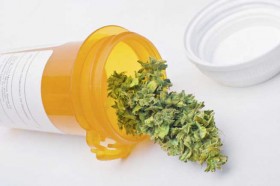 NY Senate Health Committee Passes Comprehensive Bipartisan Medical Marijuana Bill