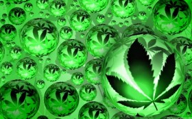 NY’s Medical Marijuana Bill: Glaucoma Out, Rheumatoid Arthritis In