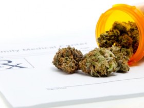 Nevada’s Medical Marijuana Business At a Glance