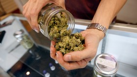 San Jose Council Delays Medical Marijuana Dispensaries Vote