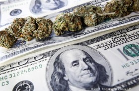 See How Much the Medical Marijuana Effort Has Raised in Florida