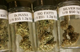 Treating Brain Diseases With Marijuana