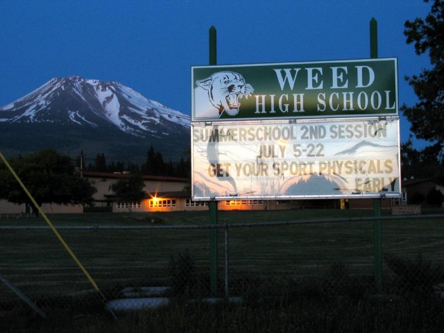 Cannabis and Adolescents WA State Guidelines, Source: http://www.tokeofthetown.com/Weed_High_School_billboard.jpg