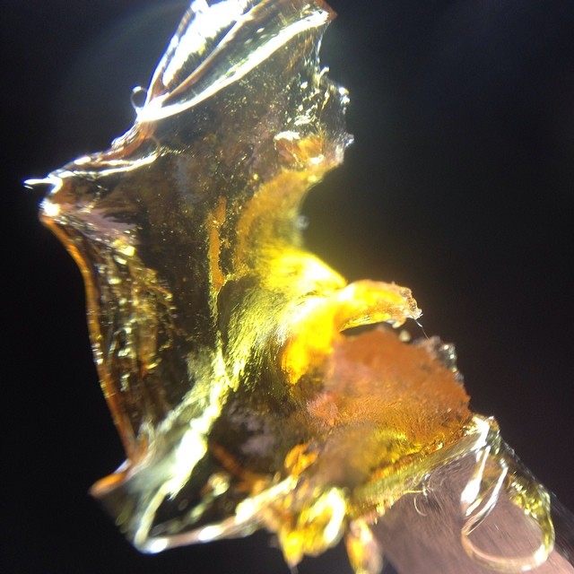 High and Mighty Extracts Shatter Up Close, by @highandmightyextracts