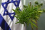 International Cannabis Update: Israel and Medical Marijuana
