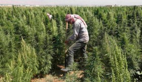 International Cannabis Update: Lebanon Battles for Legalization