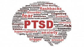 Study: Oral THC Safely and Effectively Addresses Post-Traumatic Stress Symptoms | Source: http://www.themedicalmarijuanadiaries.com/wp-content/uploads/Post-traumatic-stress-disorder-via-Shutterstock.jpg