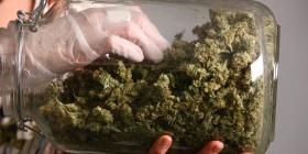 Cracked.com a Bit Off on Legal Weed