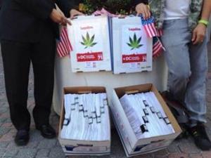 DC Marijuana Initiative Hands in Plenty of Signatures | Source: http://stopthedrugwar.org/chronicle/2014/jul/07/dc_marijuana_initiative_looking_good