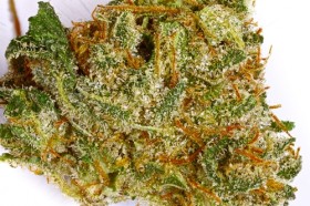 Five of the Best & Worst Strain Names, Source: http://budgenius.com/photo/01ee82_8bb5754dc24ded273a8bef5b4e8a794f/126594_dry_1.jpg