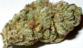 Five of the Best & Worst Strain Names, Source: https://d2kxqxnk1i5o9a.cloudfront.net/uploads/pictures/menu_items/671752/large_Buddha_Bar_OG.jpg