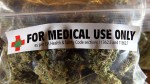 Medical Marijuana Could Bring Big Tax Revenue to Florida
