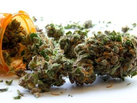 New York Lawmakers Want Faster Medical-Marijuana Process
