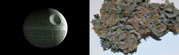 Seven Strains for the Star Wars Fan, Source: http://therealmcast.therealmcast.netdna-cdn.com/wp-content/uploads/2011/03/death-star-500x311.jpg & http://cdn6.theweedblog.com/wp-content/uploads/death-star-marijuana-strain-3.jpg
