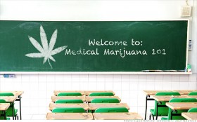 Want to Study Pot? There’s a School for That
