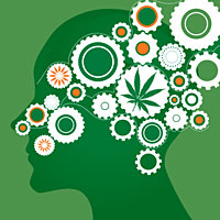 brain_illustration Debunking the White House’s Reefer Mad Reaction to the NYT | Source: http://blog.norml.org/2014/07/29/debunking-the-white-houses-reefer-mad-reaction-to-the-nyt/