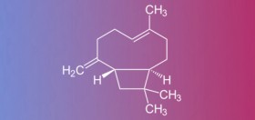β-Caryophyllene: A Terpene for Anxiety and Depression?