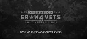 Operation Grow4Vets: Crowdsourcing Compassion for Military Veterans