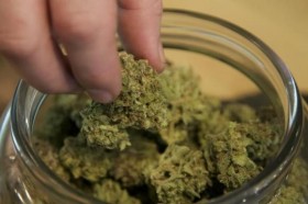 Pro-Marijuana Advocates Raise $1 Million in Oregon