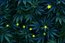 Public Debate of Ballot Measure 2 Will Help Alaskans Weigh Marijuana Legalization