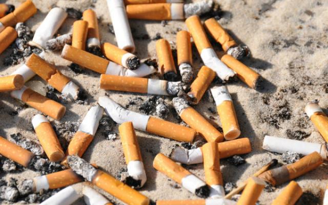 Are Cigarettes More Dangerous Than Marijuana Weedist