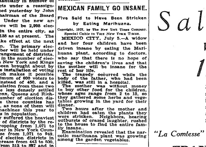 Title: NY Times Supports Cannabis, Forgets It's Prohibition Past, Source:http://blogs-images.forbes.com/jacobsullum/files/2014/08/mexican-family-go-insane.jpg