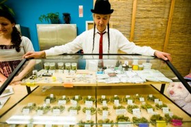 weed-wars-dispensarys-discovery-channel-hemp-beach-tv-hbtv - California Medical Marijuana Regulation Bill Dies, Source: http://stopthedrugwar.org/chronicle/2014/aug/15/california_medical_marijuana_reg_0