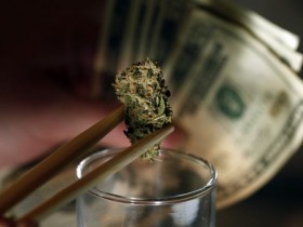Colorado’s Missing Marijuana Taxes