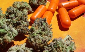 Is Big Pharma Behind Anti-Cannabis Research?
