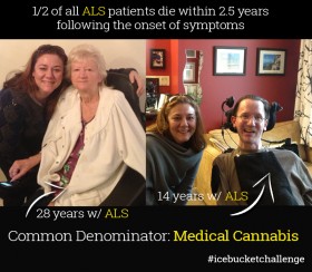 Is Medical Marijuana the Solution for ALS?