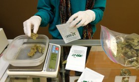 Marijuana Policy Clear Winner in New Hampshire Primary Election
