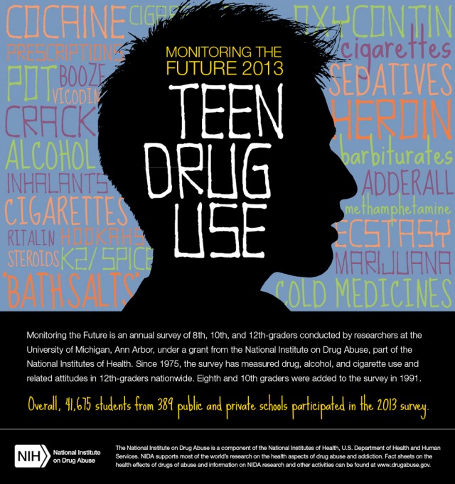 New Drug Use Data Spoils Prohibitionist Propaganda, Source: http://www.drugabuse.gov/sites/default/files/nida_mtf2013_infographic_sections_0.jpg