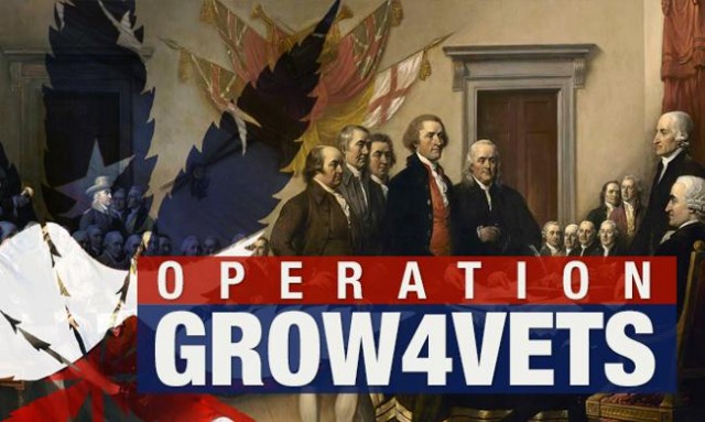 Operation Grow4Vets Seeks to Provide Veterans With Free Cannabis, Source: http://www.medicaljane.com/2014/05/20/operation-grow4vets-helping-veterans-gain-access-to-cannabis-medicine/