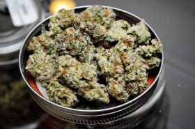 Pennsylvania Moves Toward Medical Marijuana Legalization