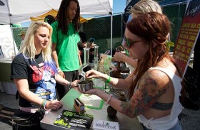 2014 Washington Cannabis Cup: Welcome Home Out-of-Towners