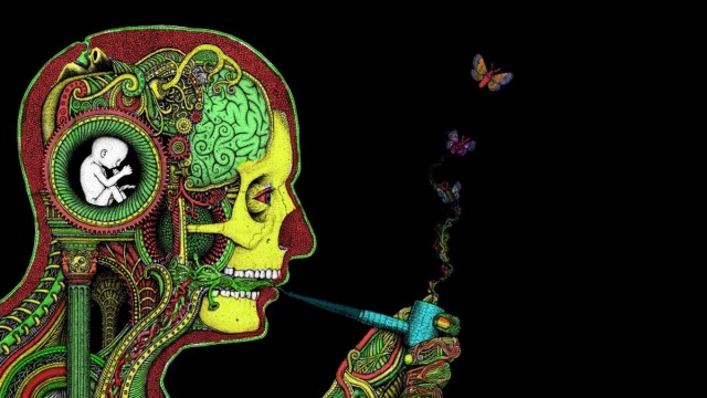 Cannabis Consumption Helps With Brain Trauma, Source: http://marijuana.tm/wp-content/uploads/2014/09/4.jpg