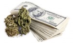 Dollars, Chasing Cannabis Profits, Leave US