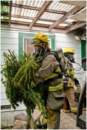 Humboldt Firefighters Heroically Save Helpless Weed From Burning Building, Source: http://lostcoastoutpost.com/media/uploads/post/11482/unnamed%2B%252833%2529.jpg