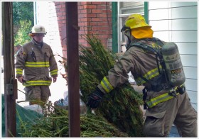 Humboldt Firefighters Heroically Save Helpless Weed From Burning Building
