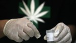 “Medicine” on Trial in Cannabis Scheduling Hearing